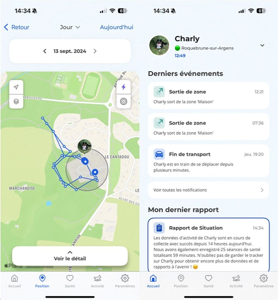 Minitailz, the all-in-one GPS tracker for dogs