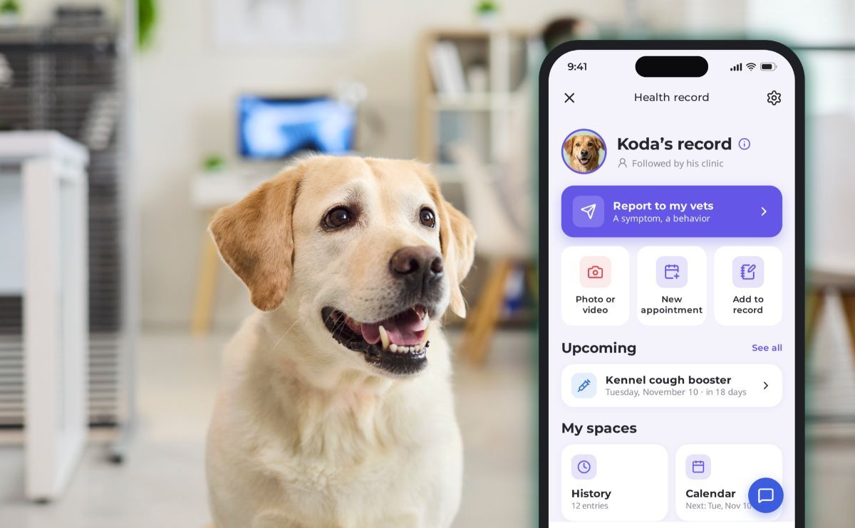 Cartilla sanitaria del perro: para qué sirve y cómo mantenerla actualizada