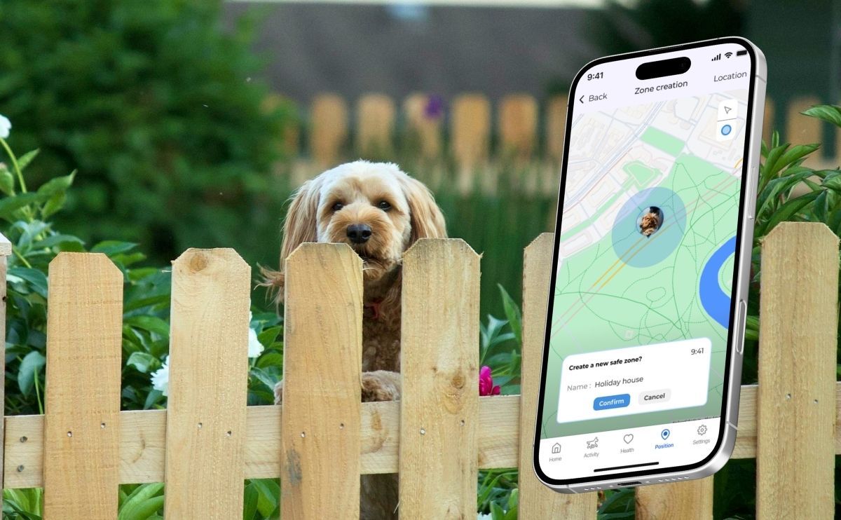 Gestresster Hund im Urlaub: Unterkunft richtig sichern