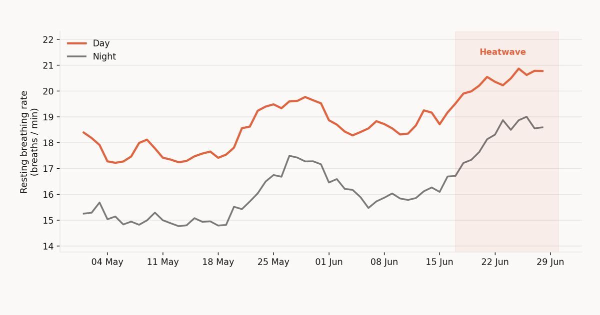 Graph showing the increase in dogs&rsquo; respiratory rate during the June 2026 heatwave