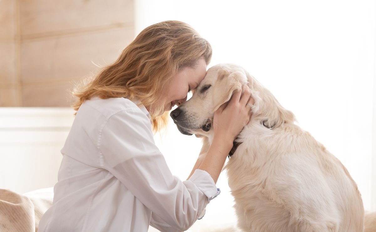 Internationaler Hundetag: Am 26. August feiern wir den besten Freund des Menschen