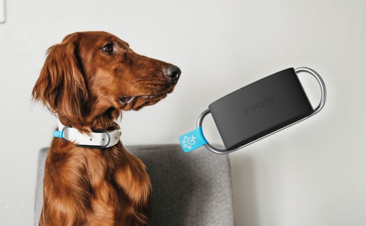 The Minitailz dog tracker partners with Solly Azar insurance