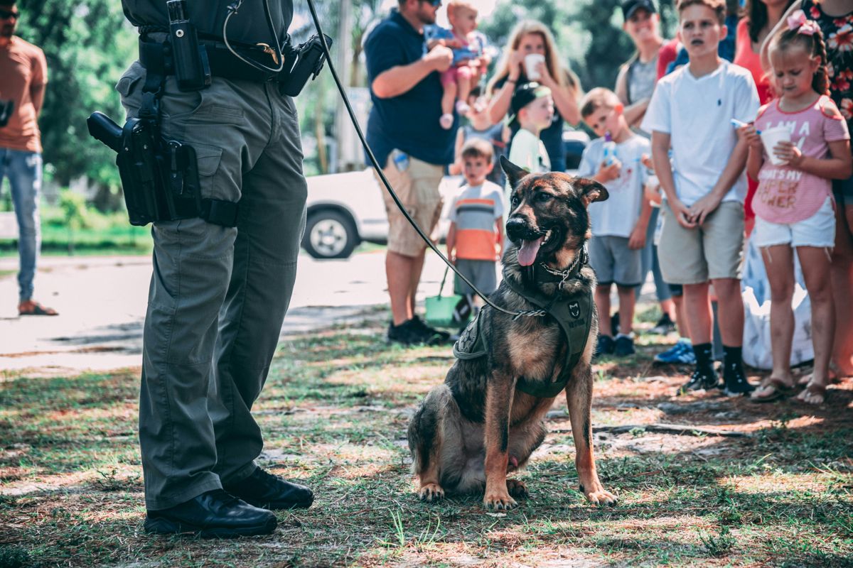 police dog on a demonstration.jpg