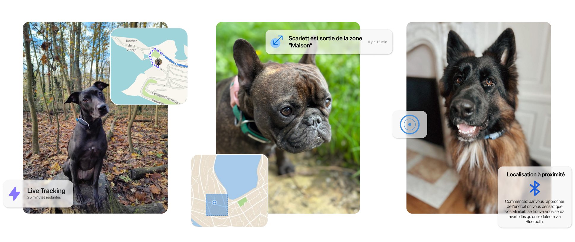 traceur GPS pour chien Minitailz : les fonctionnalités ultra développées de ce dispositif pour chien