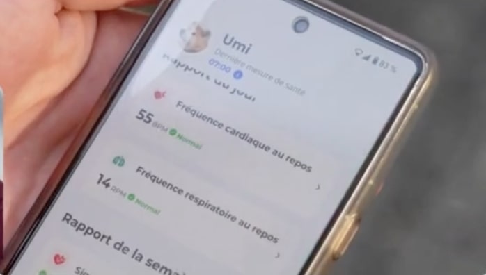 Our Purchases of Tomorrow on France 2: Improve Your Daily Life with Invoxia&rsquo;s Minitailz