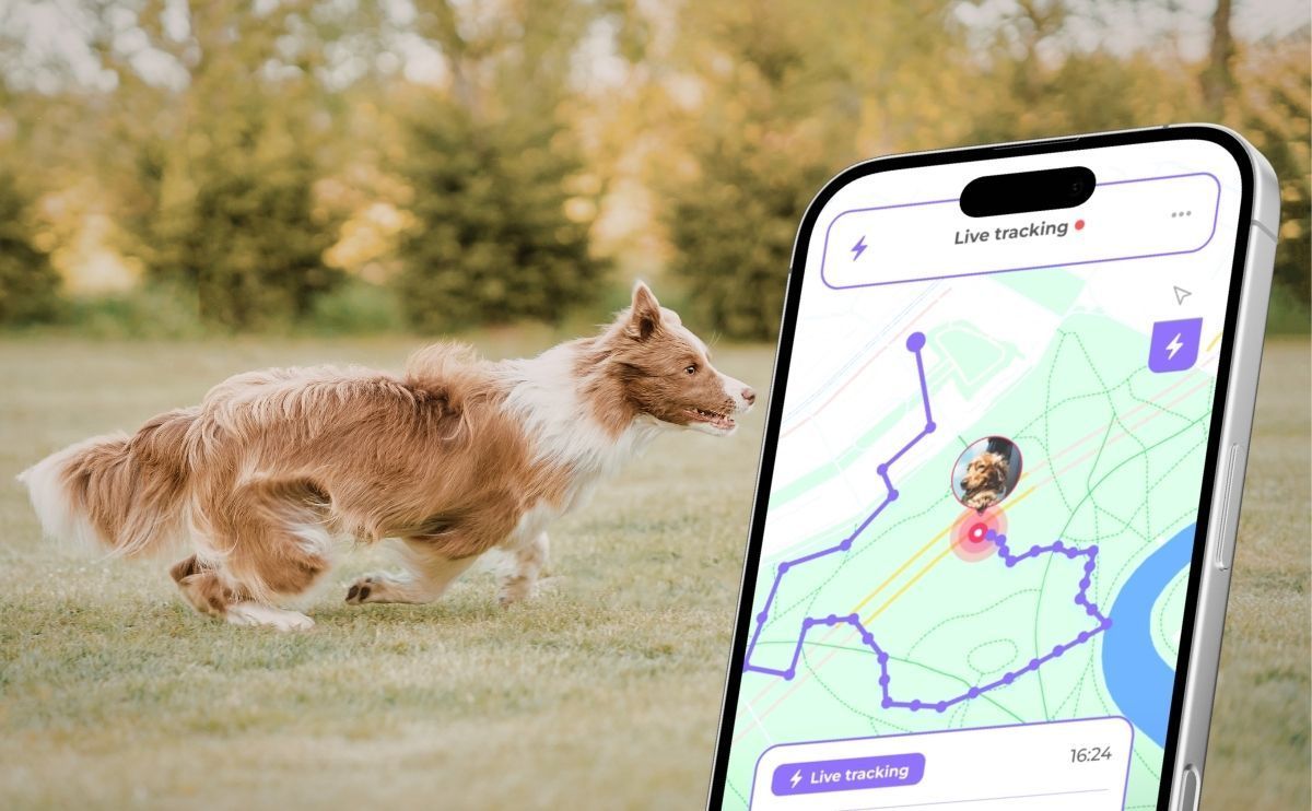 Biotracker 2026 Edition: Invoxia launches the first dog GPS collar with advanced health tracking and real-time second-by-second location