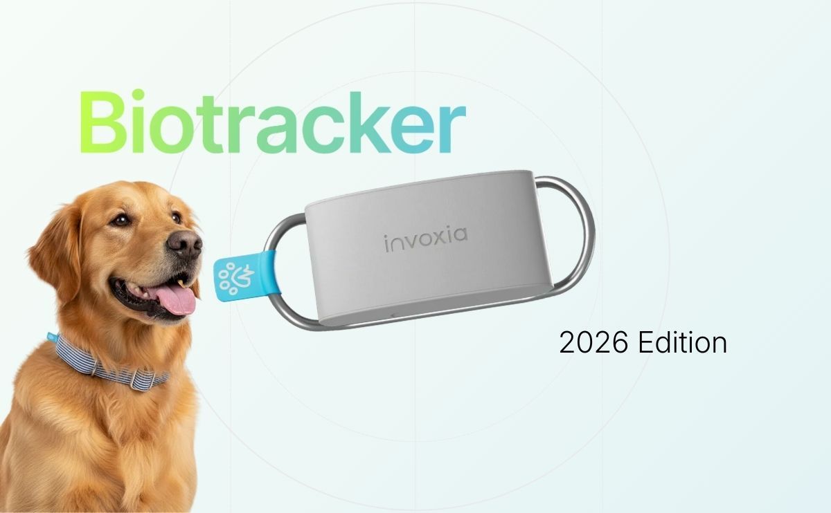 Biotracker 2026 Edition: Invoxia launches the first dog GPS collar with ...