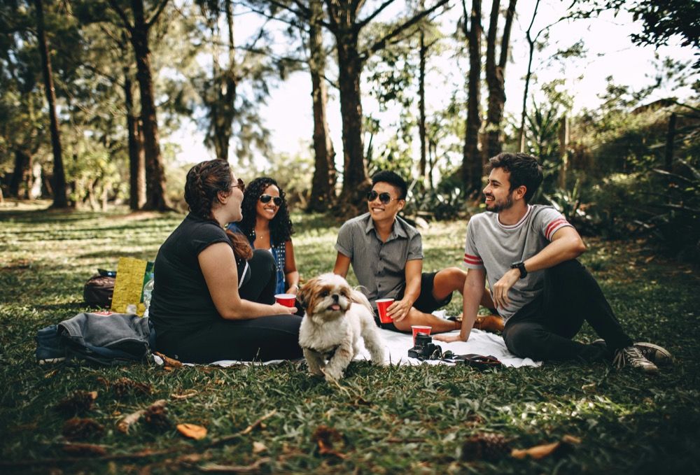 people_having_picnic_with_dog