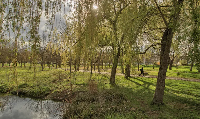 Caniparc Toulouse: el parque canino de la Grande Plaine en Toulouse