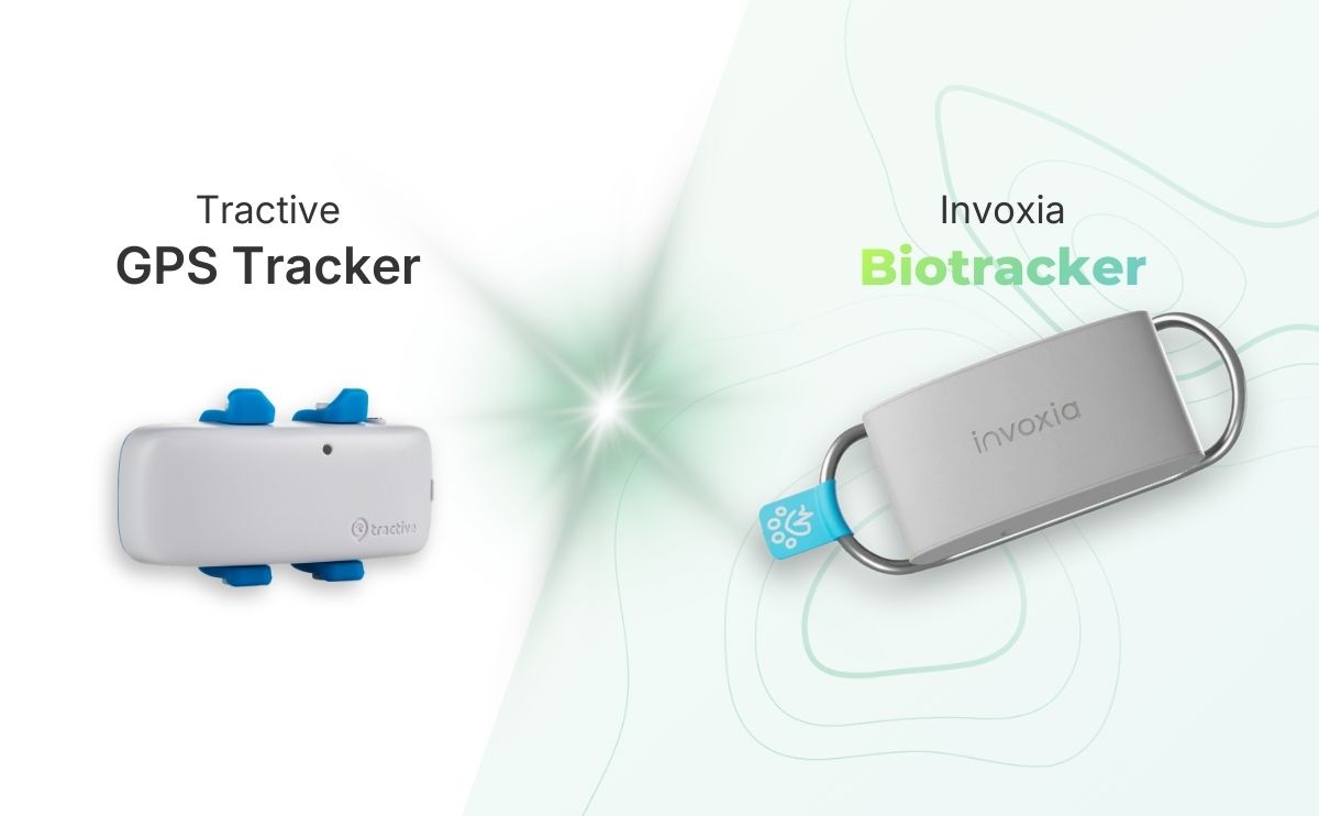 Tractive vs Biotracker: ¿localización GPS clásica o seguimiento de salud completo para tu perro?