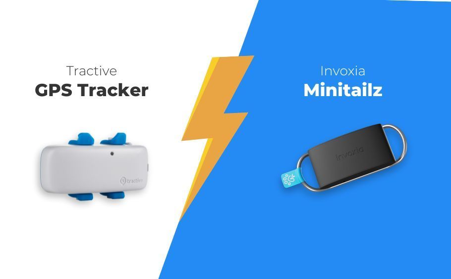 Tractive vs. Minitailz : le comparatif des traceurs pour chien · Blog