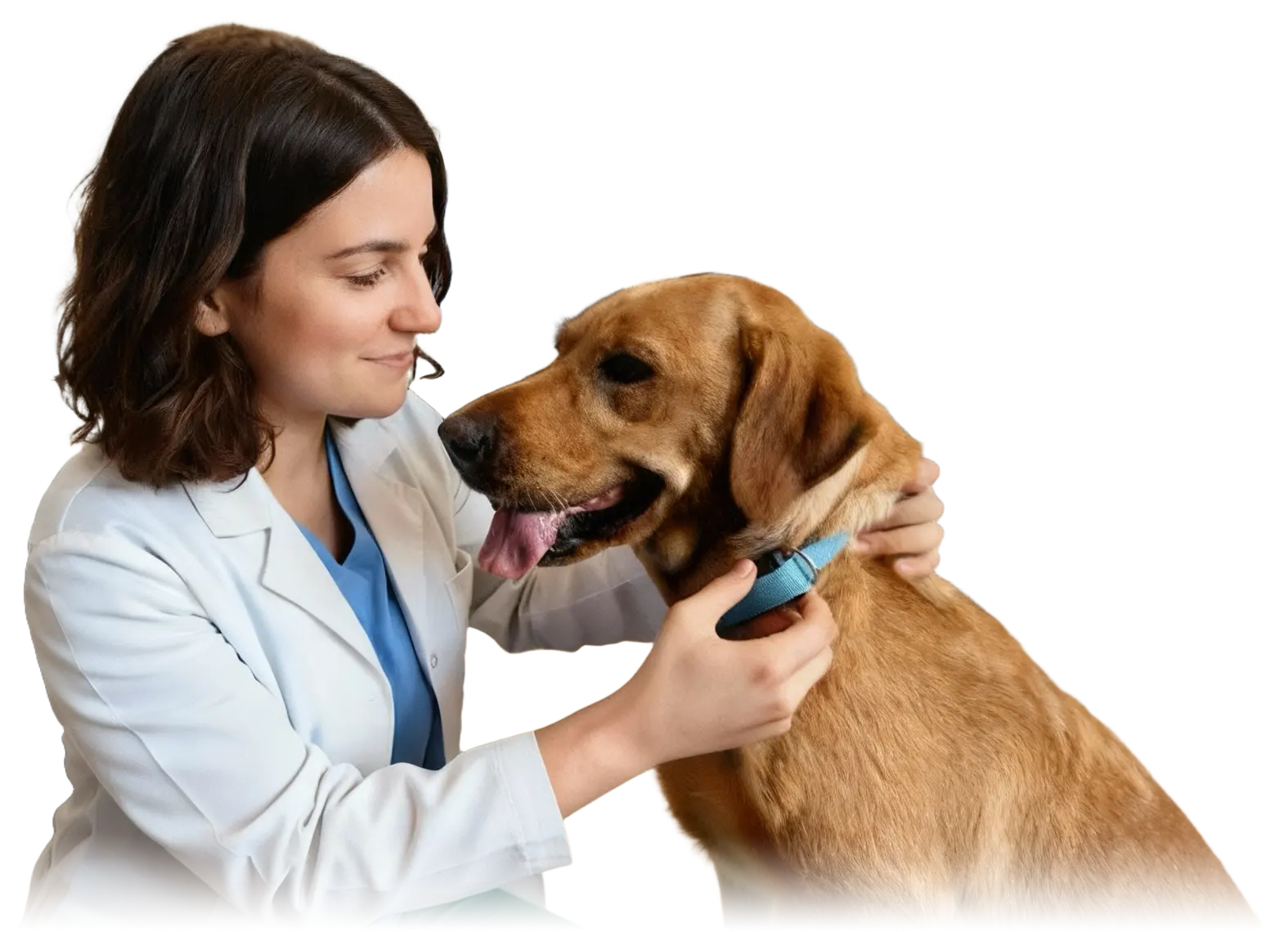 Why veterinarians choose Biotrack