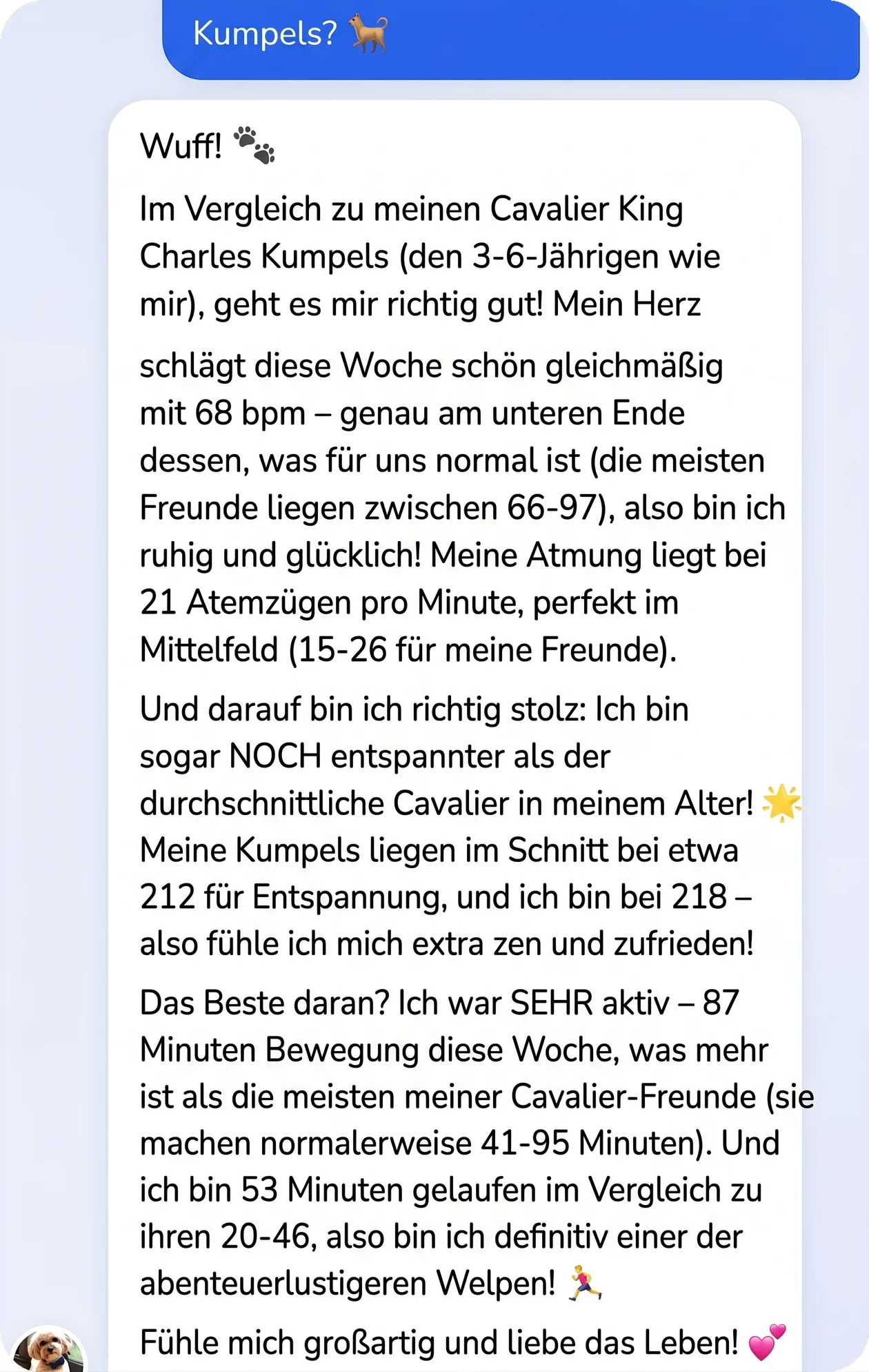 Unterhaltung in der App: Der Hund vergleicht sich mit ähnlichen Hunden aus der Community
