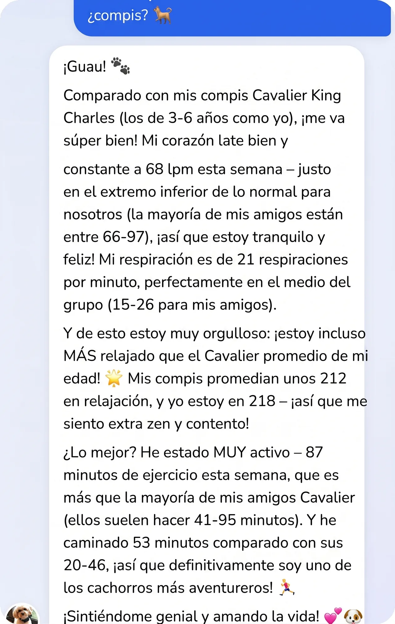 Conversación en la app: el perro se compara con los perros similares de la comunidad