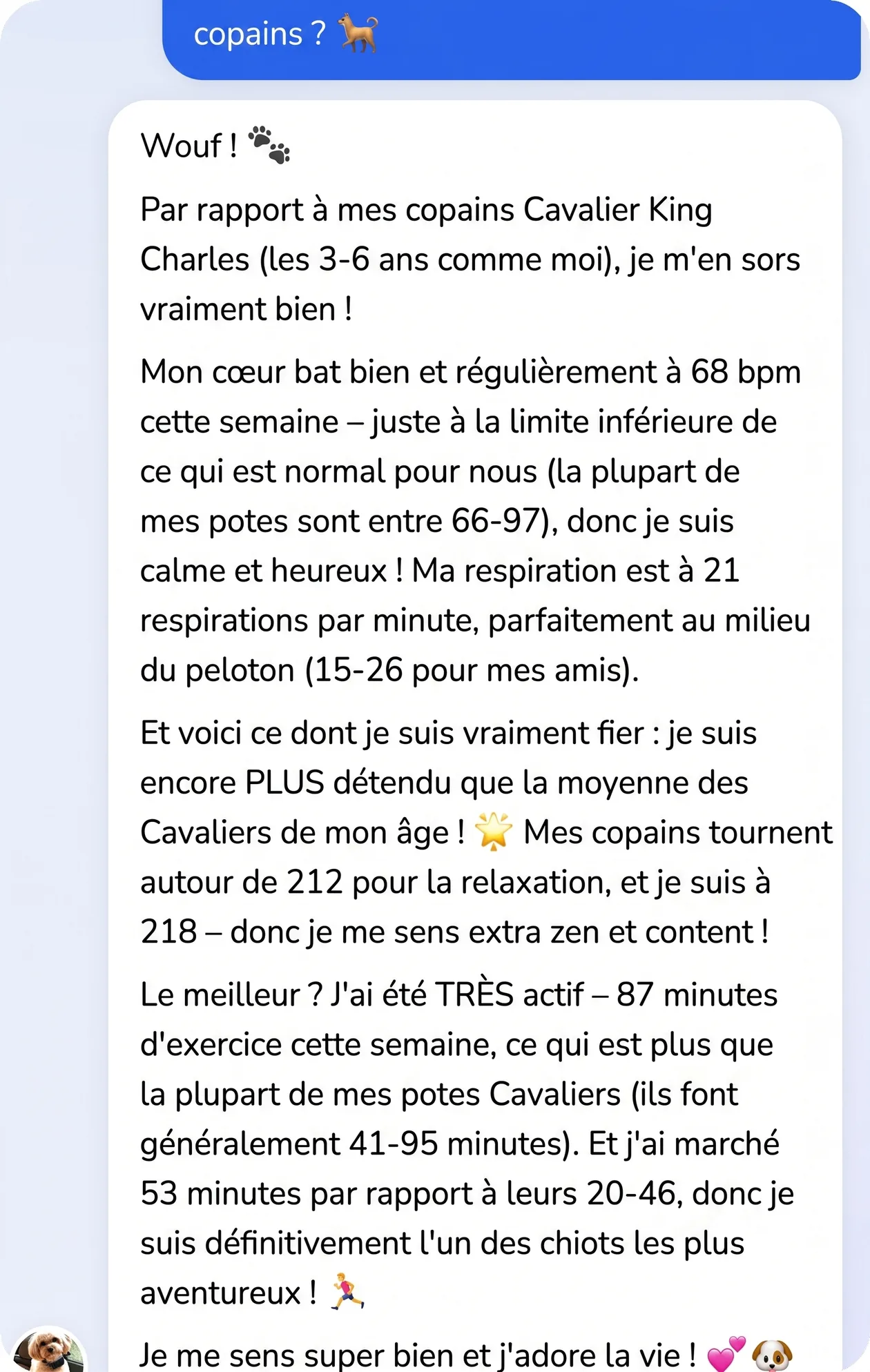 Conversation dans l'app : le chien se compare aux chiens similaires de la communauté