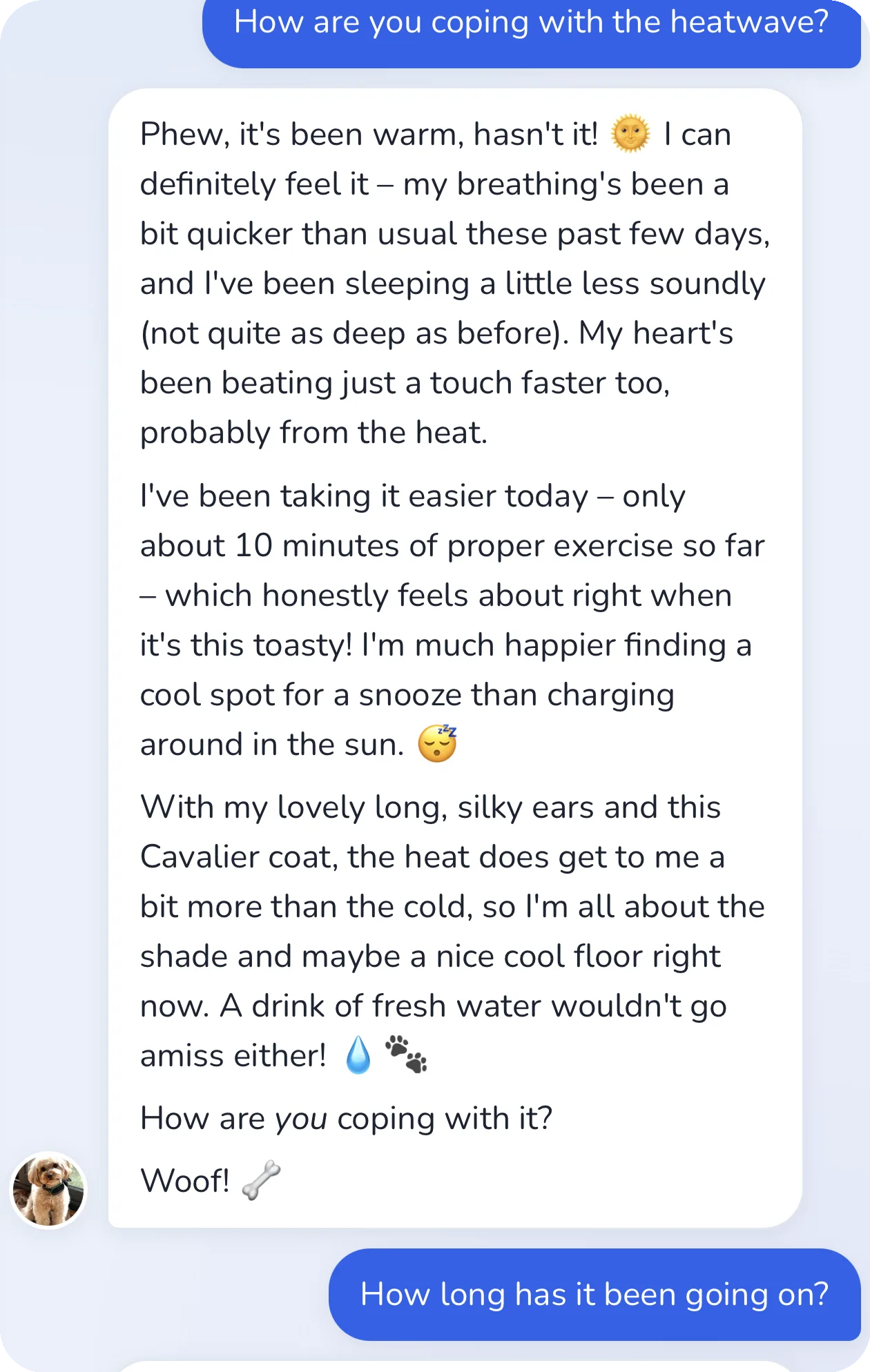 Conversation in the app: the dog explains how he's coping with the heatwave