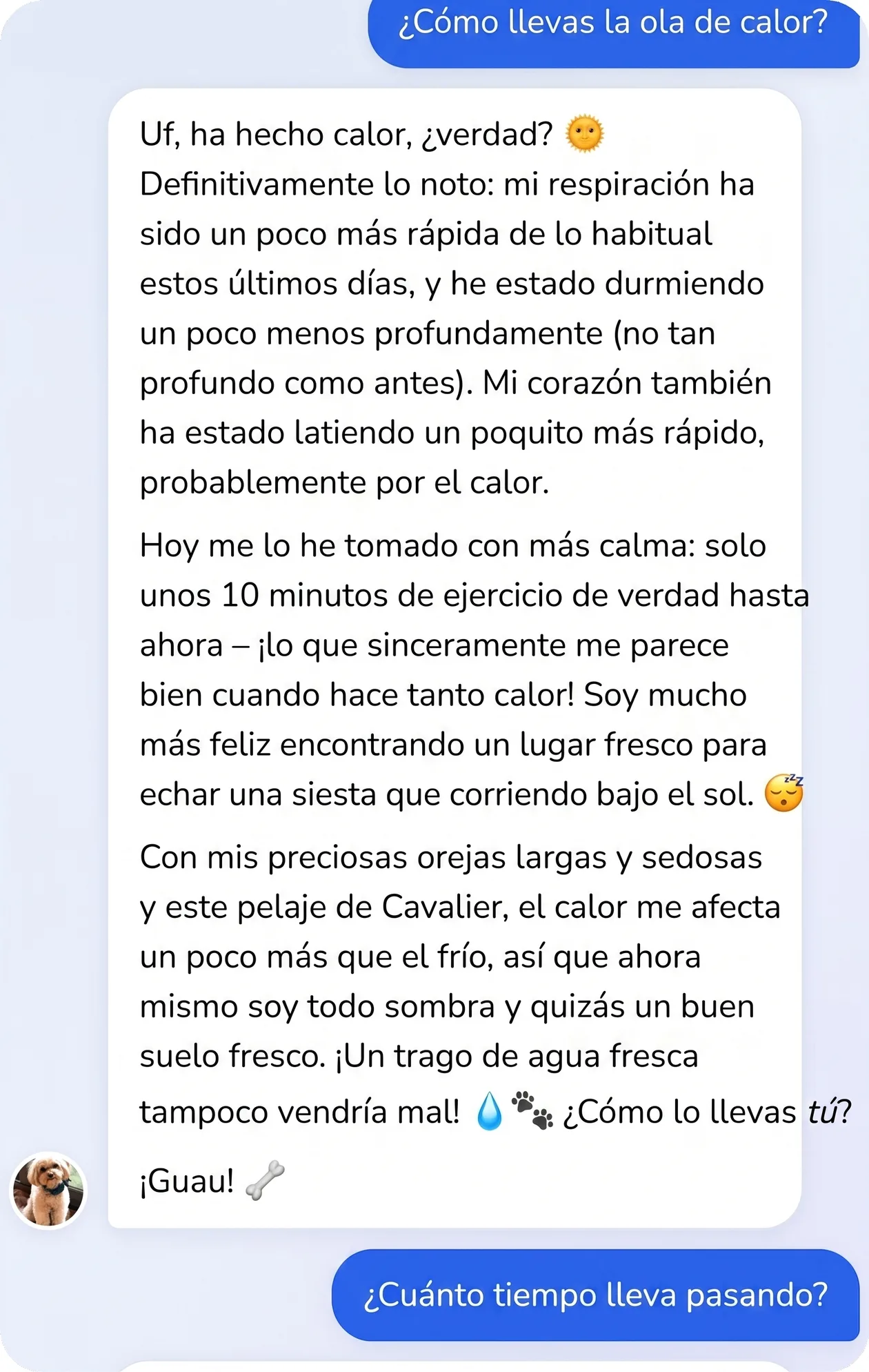 Conversación en la app: el perro explica cómo lleva la ola de calor