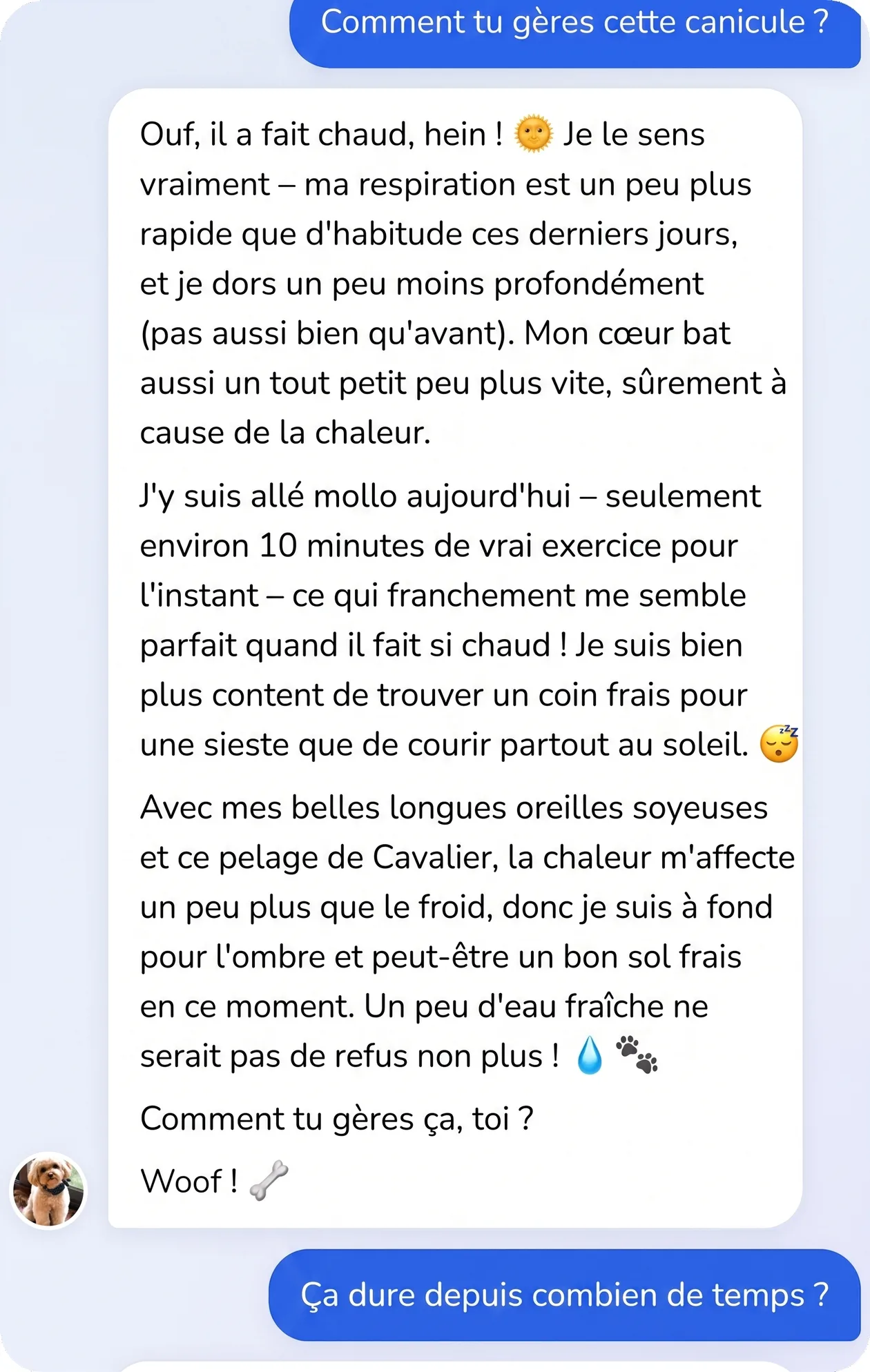 Conversation dans l'app : le chien explique comment il vit la canicule