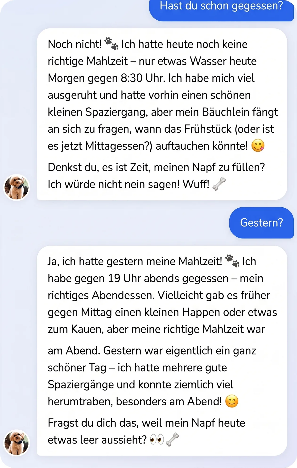 Unterhaltung in der App: Der Hund spricht über seine Mahlzeiten und seine Tagesroutine
