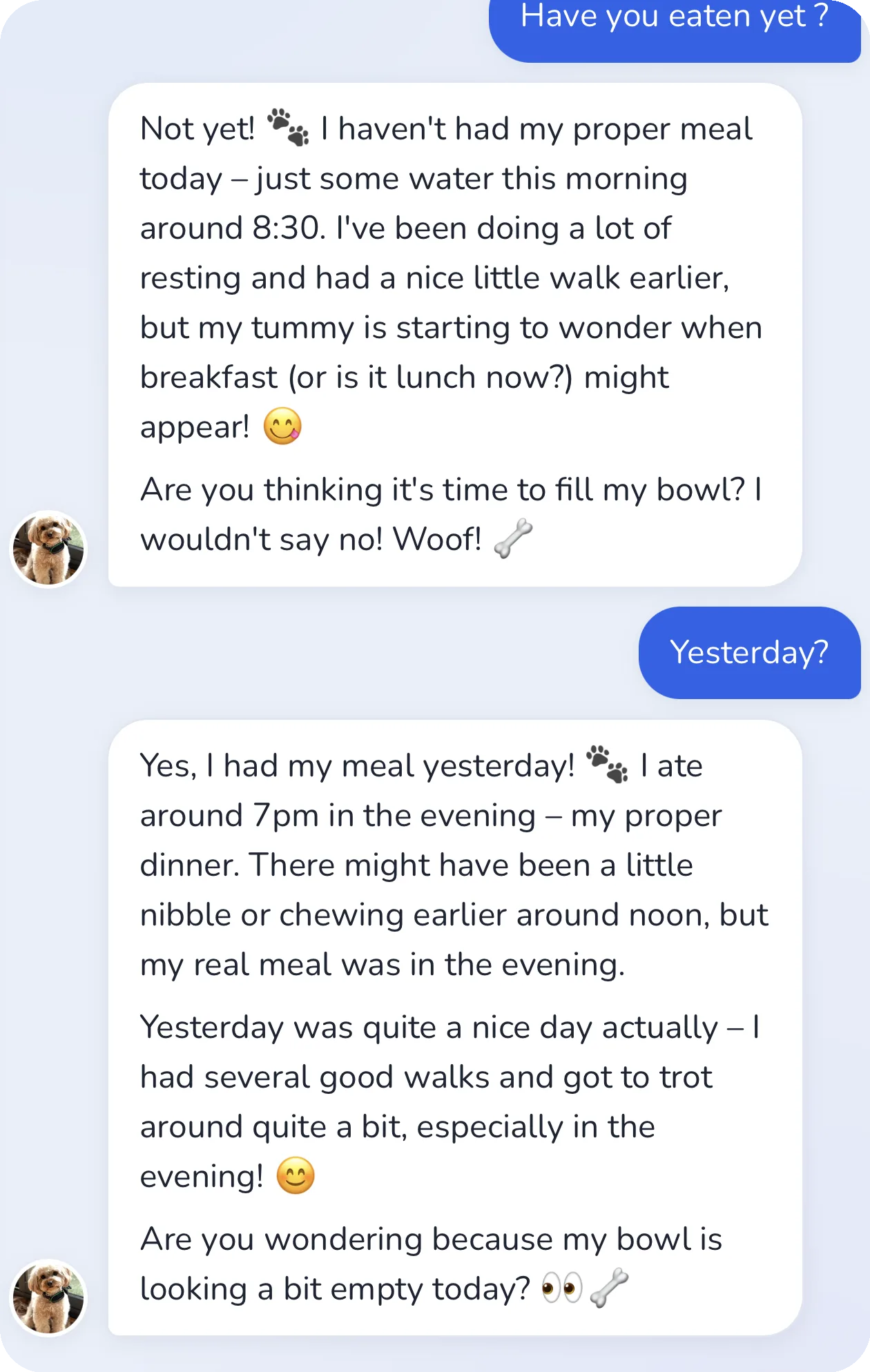 Conversation in the app: the dog talks about his meals and his routine for the day