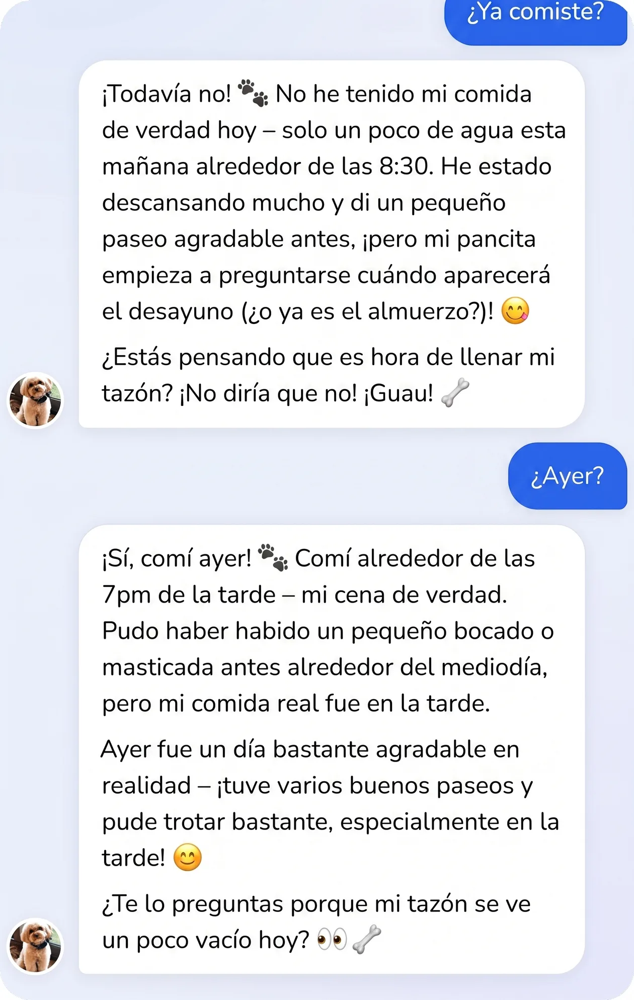 Conversación en la app: el perro habla de sus comidas y de su rutina del día