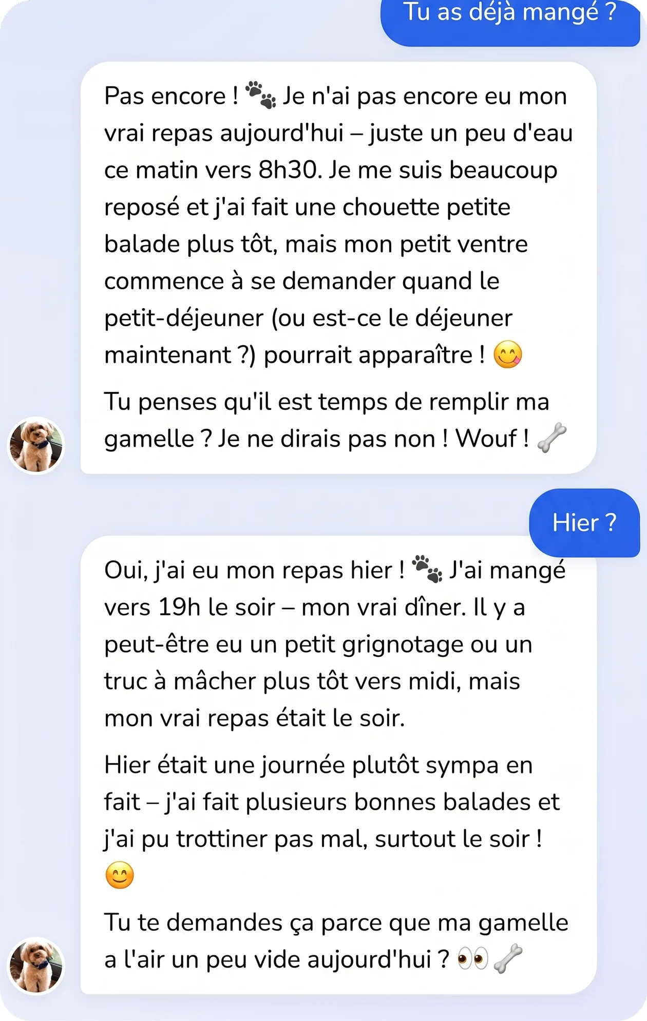 Conversation dans l'app : le chien parle de ses repas et de sa routine du jour