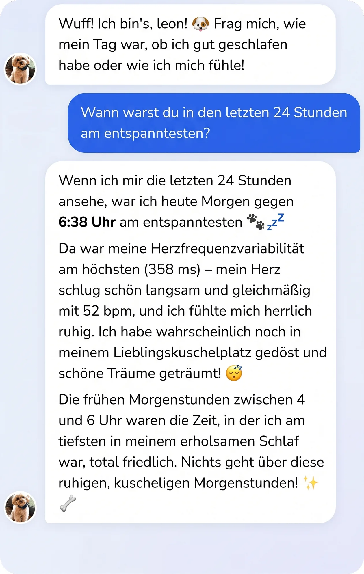 Unterhaltung in der App: Der Hund beschreibt seinen entspanntesten Moment des Tages