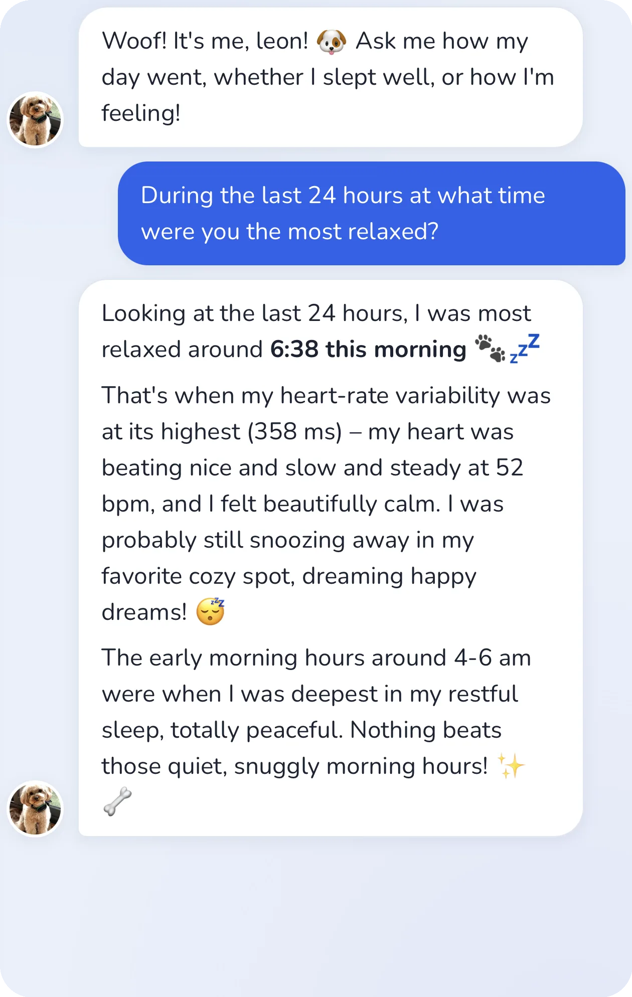 Conversation in the app: the dog describes his most relaxed moment of the day