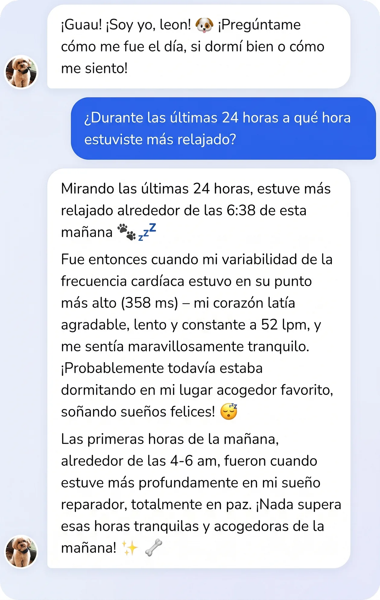 Conversación en la app: el perro describe su momento más relajado del día