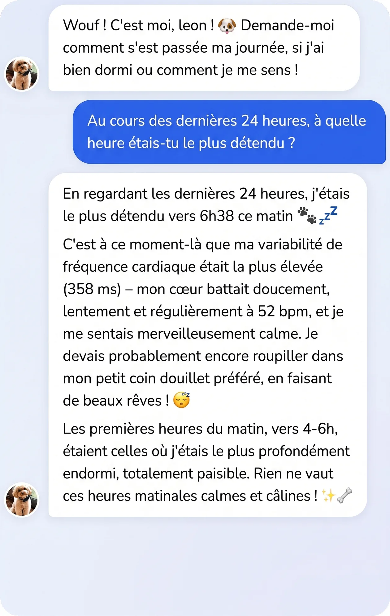Conversation dans l'app : le chien décrit son moment le plus détendu de la journée