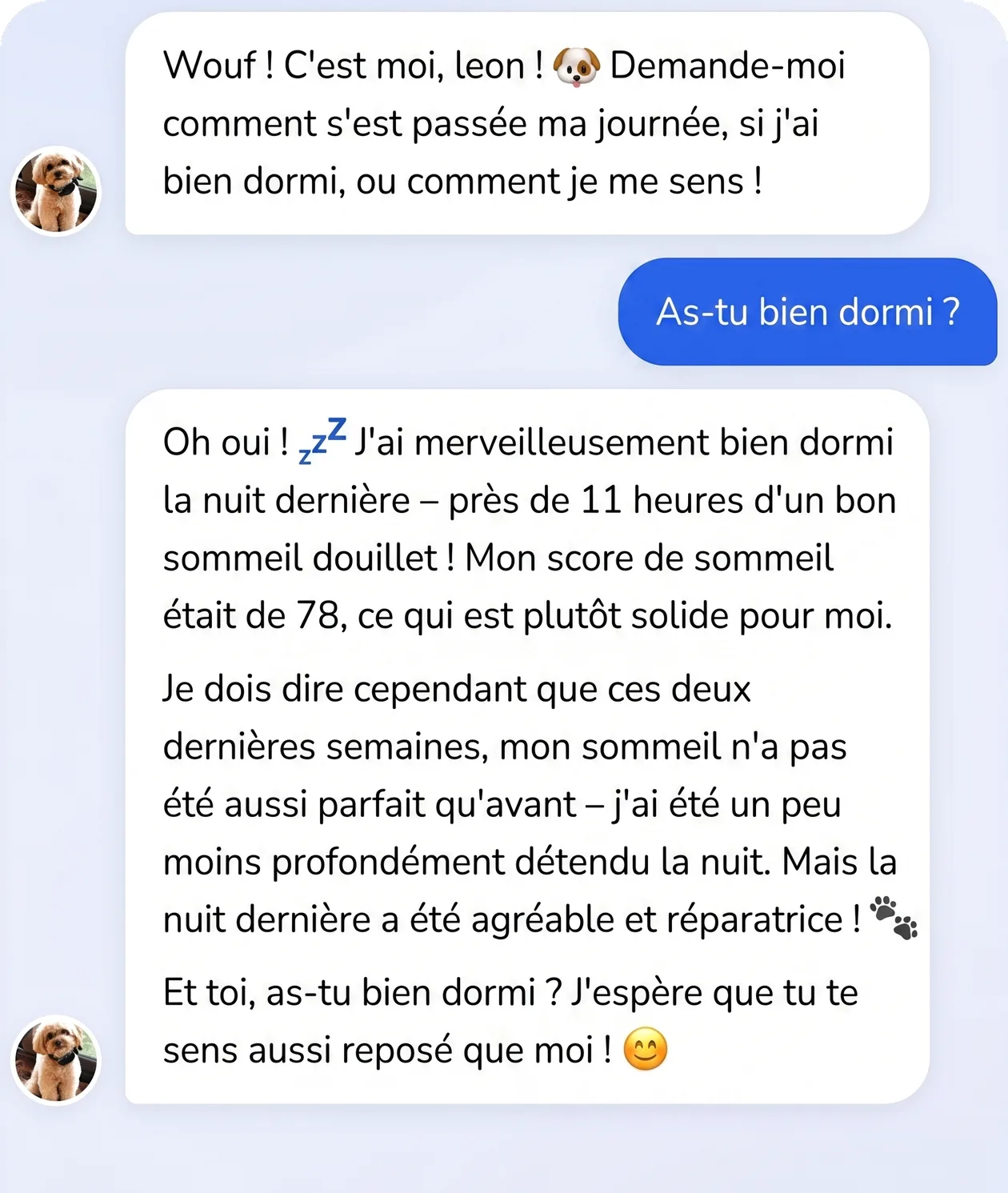 Conversation dans l'app Invoxia : un chien répond à la question sur son sommeil